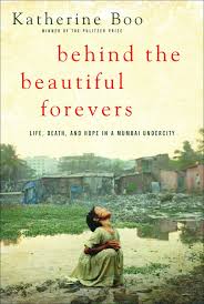 Behind the Beautiful Forevers Ebook